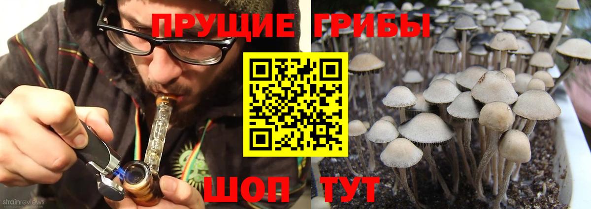 Мурино  Псилоцибиновые грибы мухоморы  Вход с VPN  Псилоцибиновые грибы ЛСД 